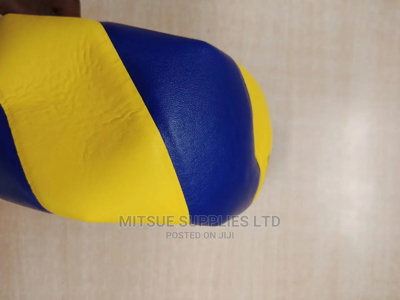 Mikasa MVA310 Volleyball Colored- Imported