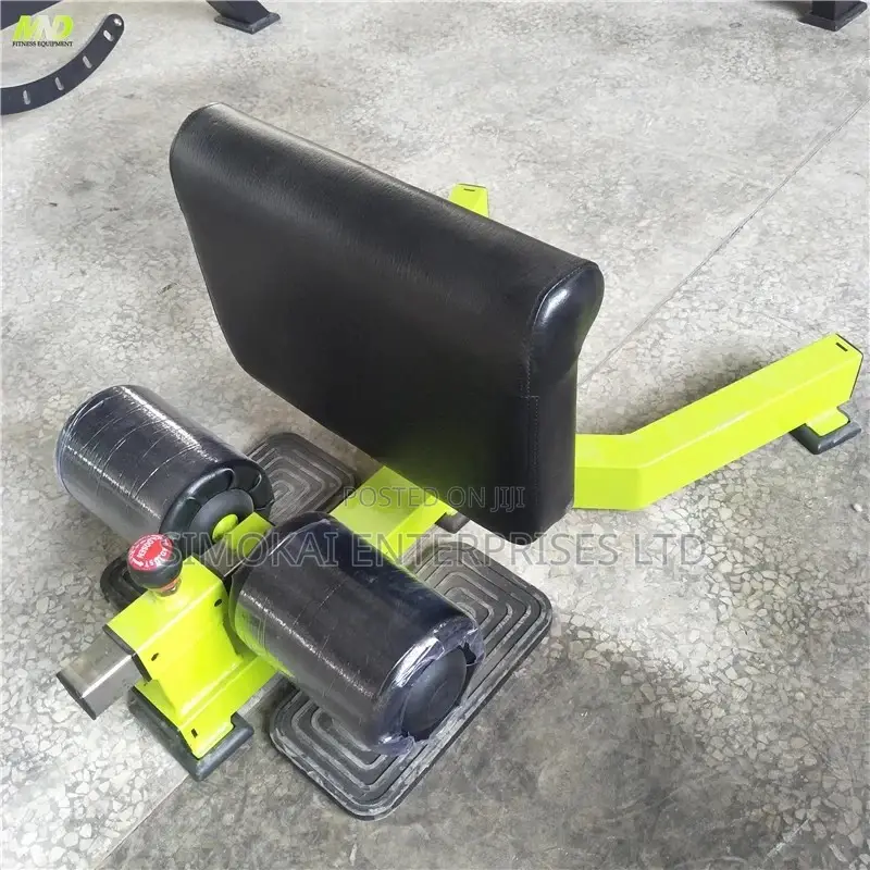 Sissy Squat Machine Gym Equipment