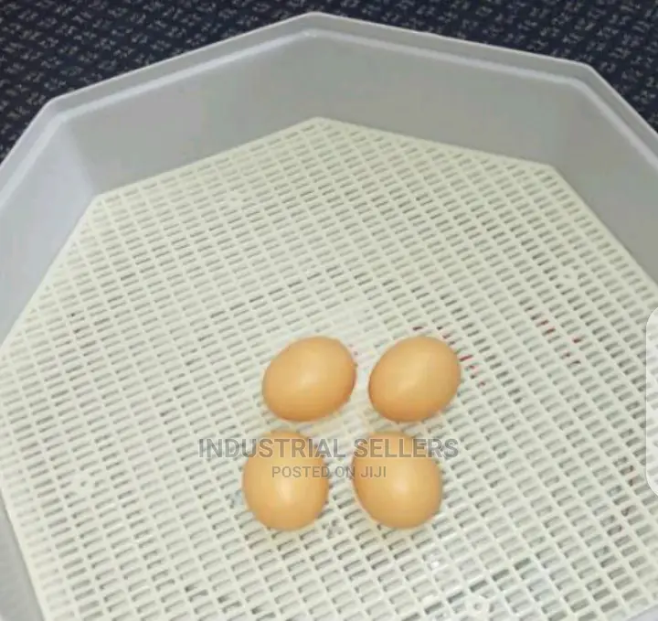 Modified Manual 60 Egg Incubator