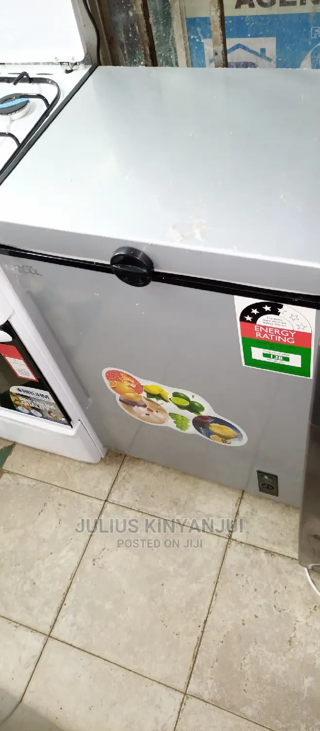 109L Deep Freezer