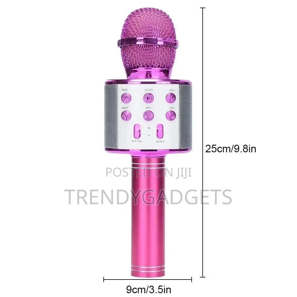Karaokee Mic With Echo and Voice Changer Effect