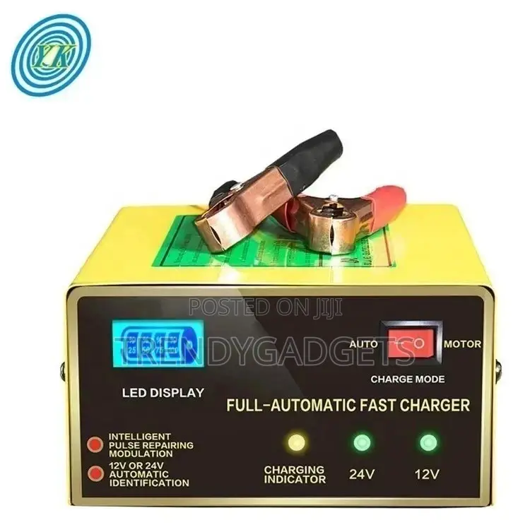 Quick Boost Electric Car 200ah Dc 12v/24 10A Battery Charger