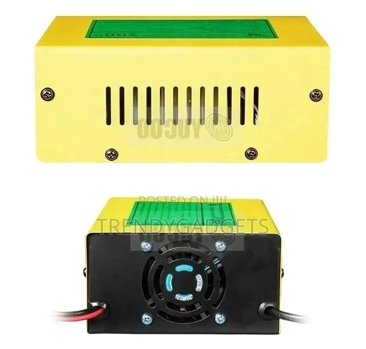 Smart Electric Car 200ah Dc 12v/24 10A Battery Charger