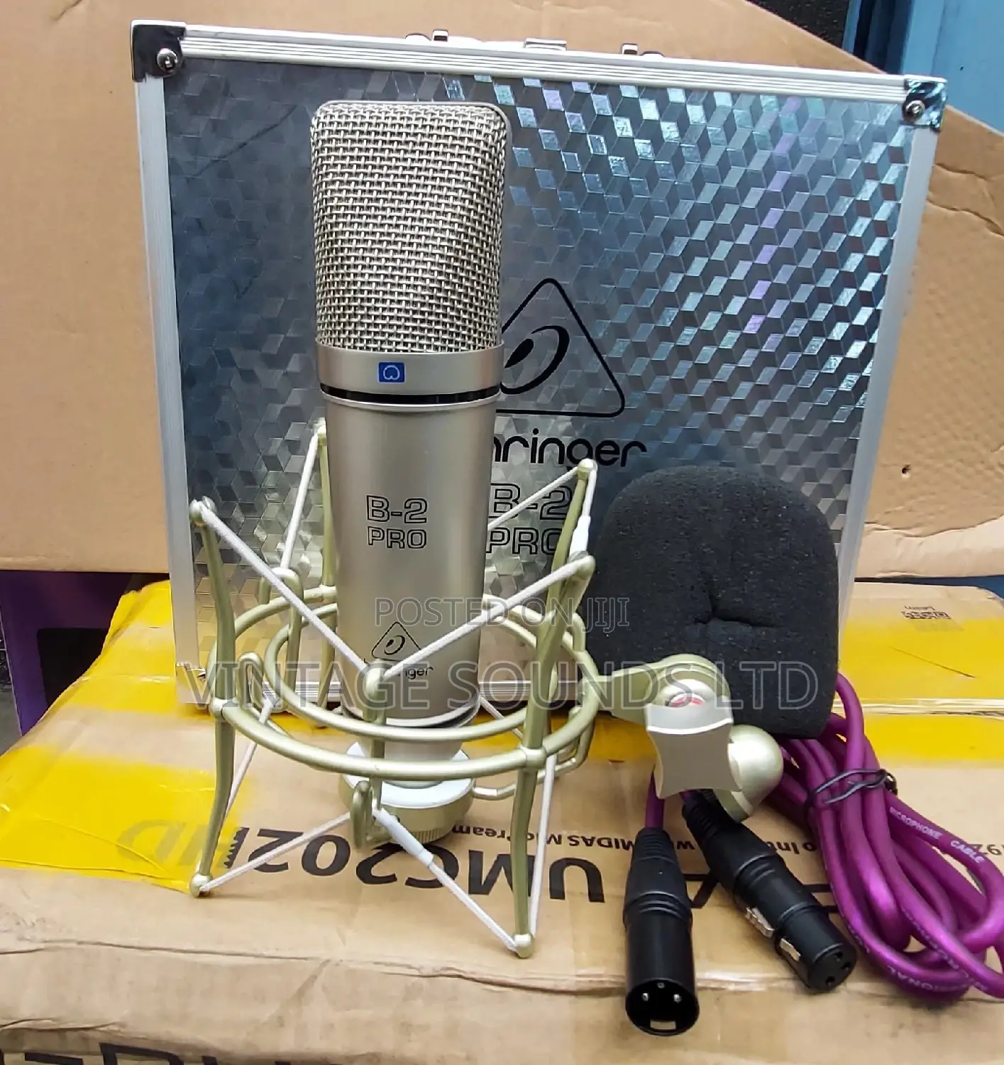 B2 Studio Condenser Microphone