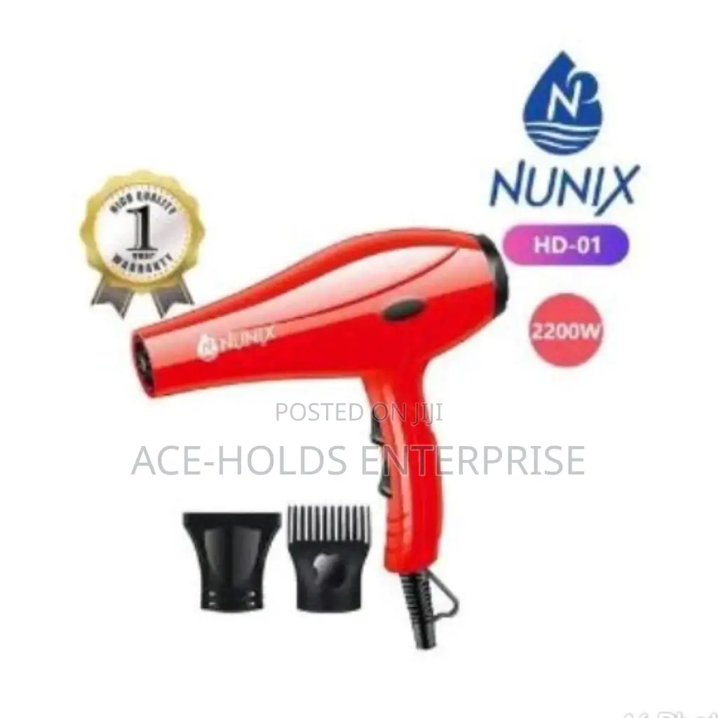 Hair Dryer Hd-01