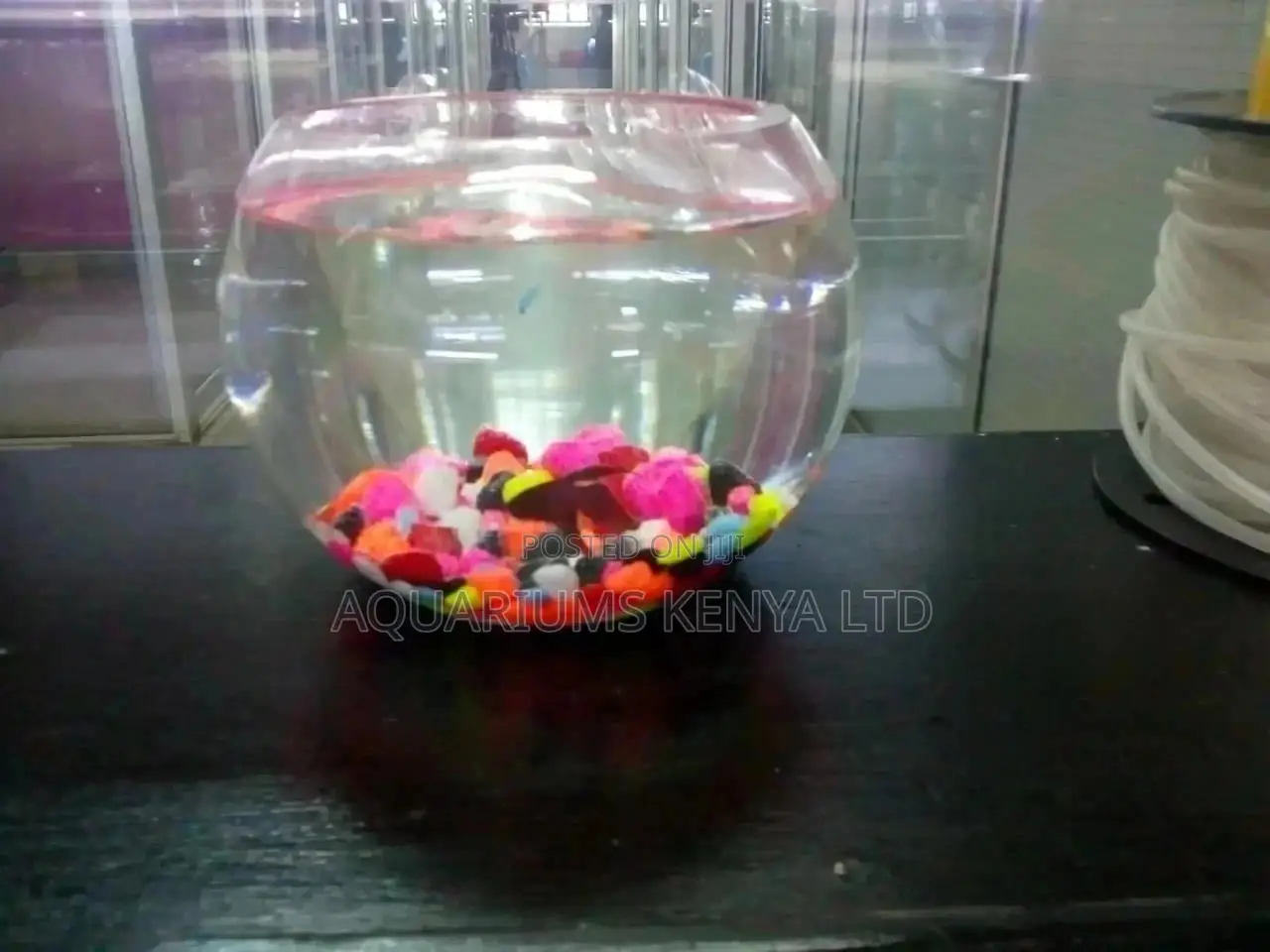 Aquarium Fish Bowl