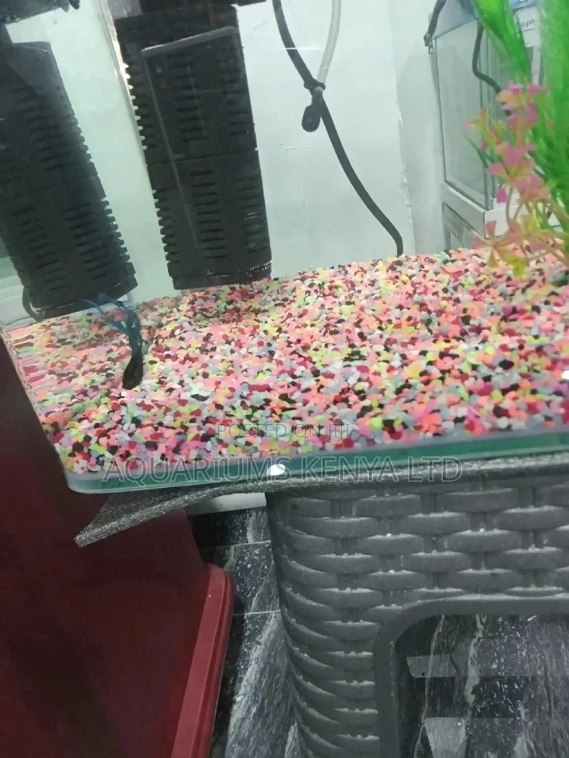 Aquarium Pebbles Colourful Just for Your Tank