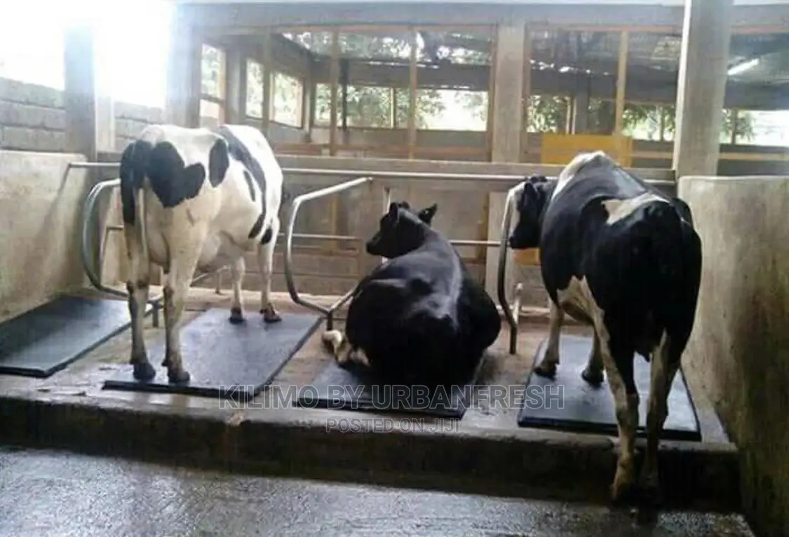 Cow Matteress 5 X 3ft : 4kg : 13mm Thickness
