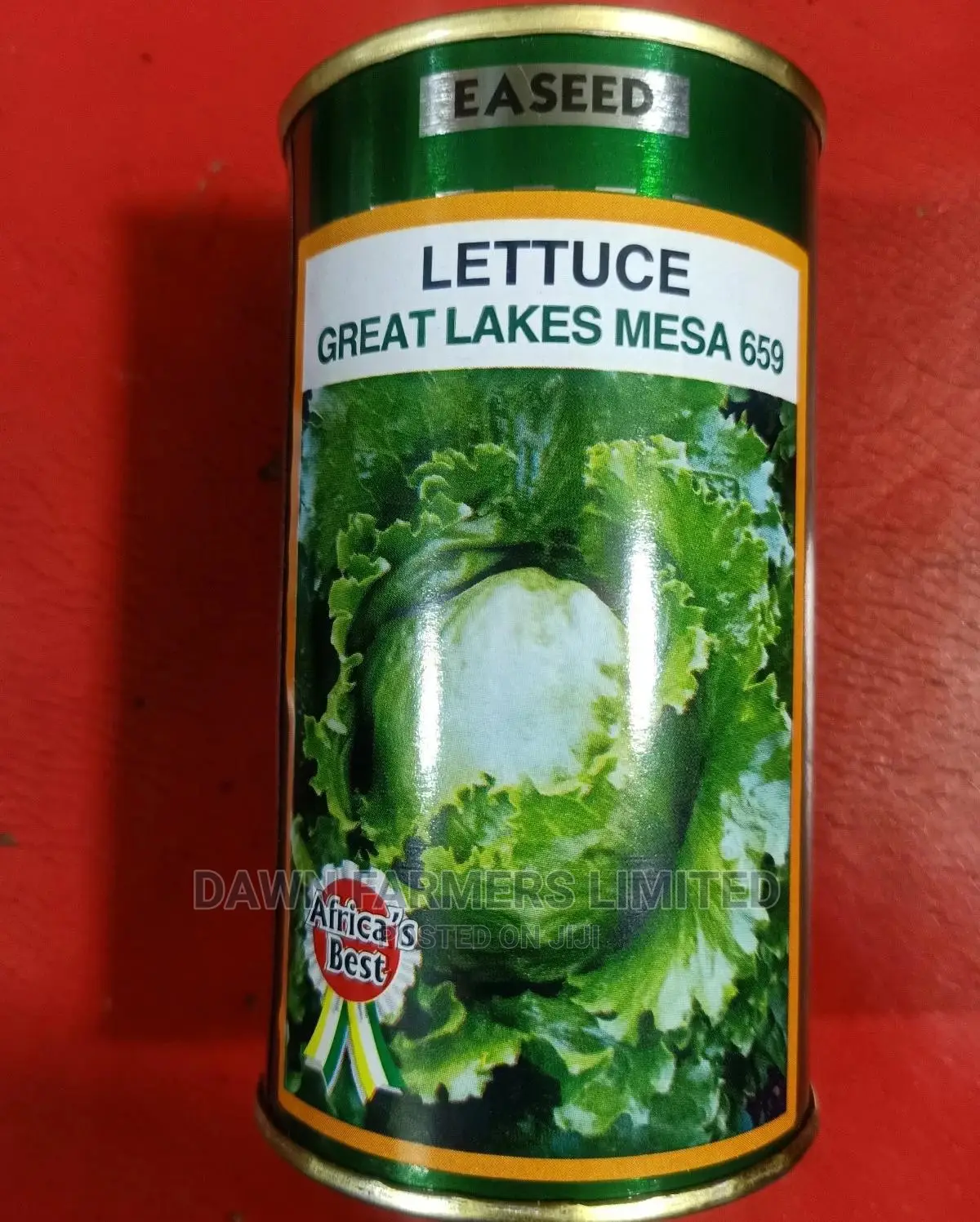 LETTUCE (Great Lakes Mesa 659) 50gms