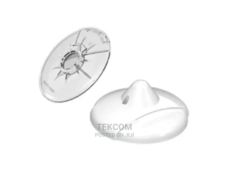 Cross Point Ostra Shell D40