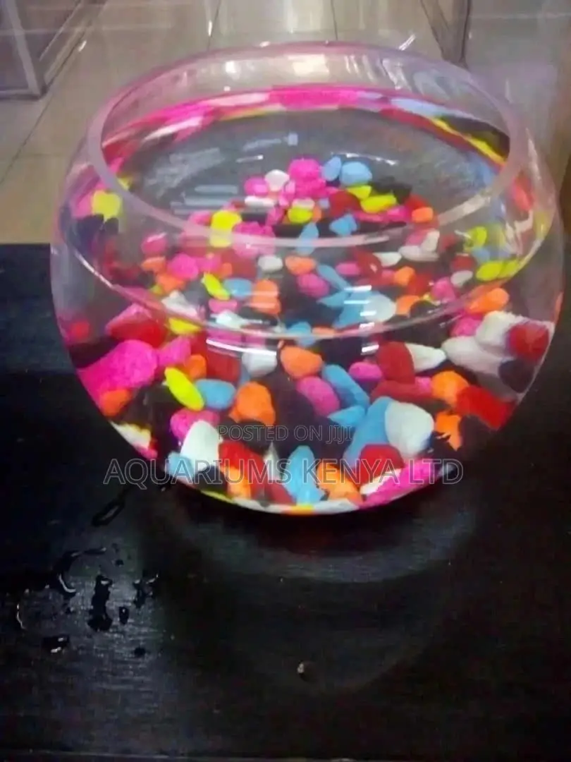 Fish Bowl,2litres Fish Bowl Aquarium