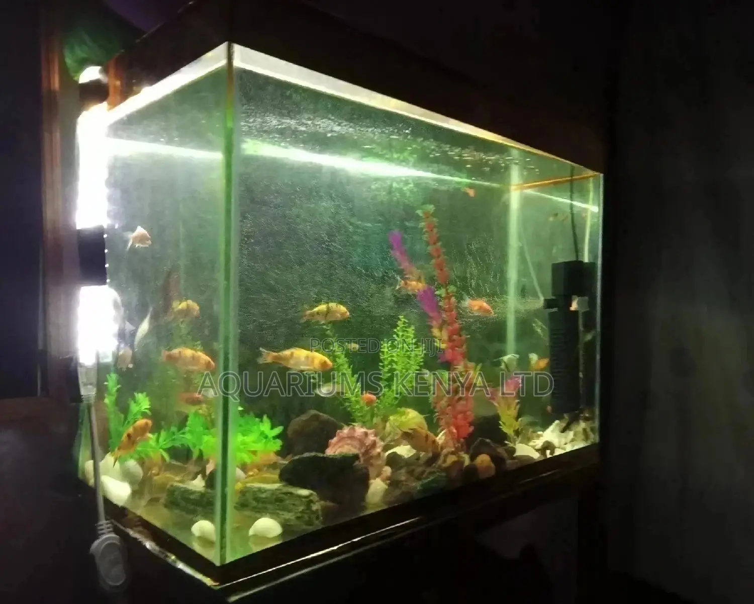 Aquarium,Custom Aquarium
