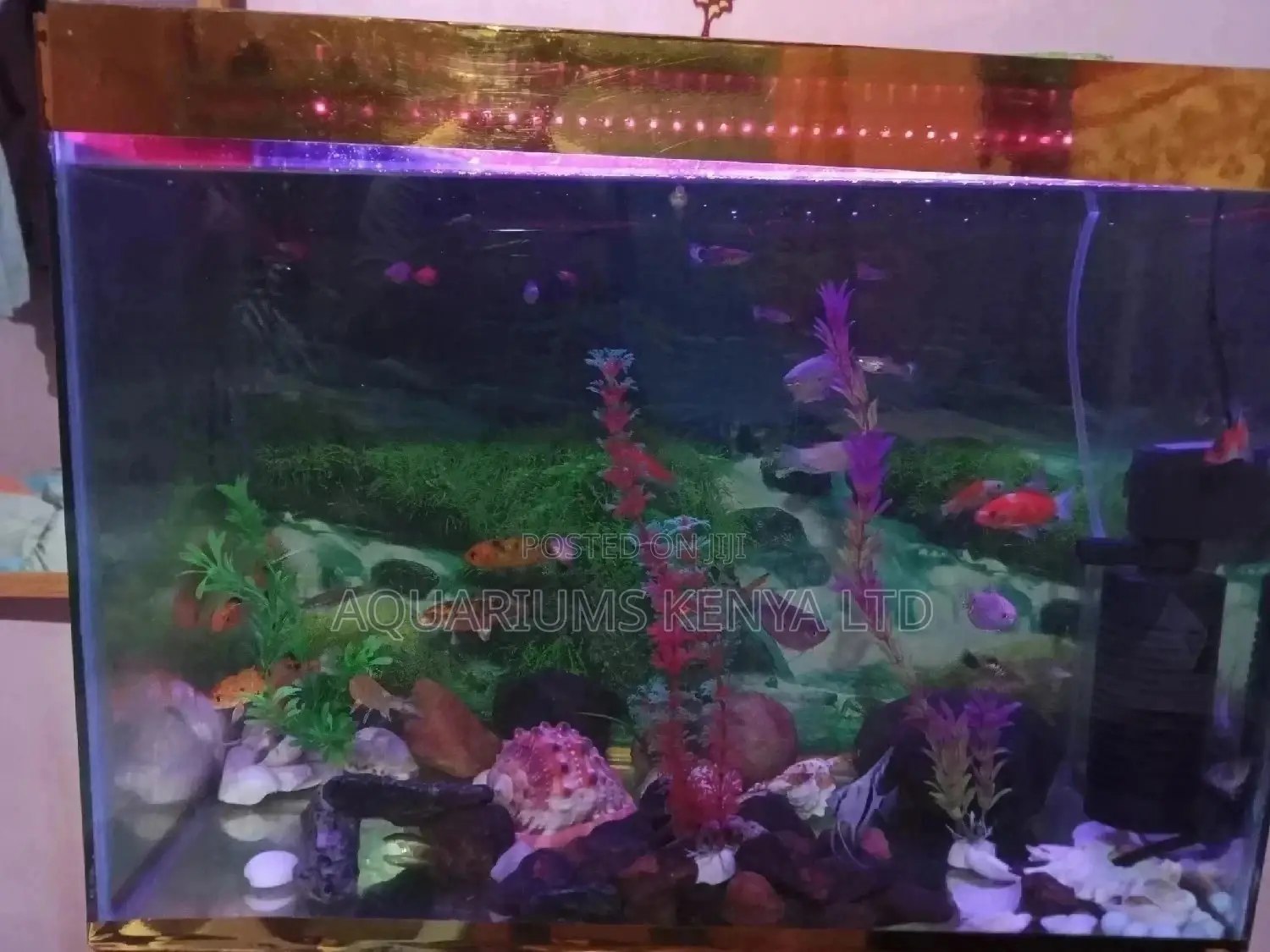 Aquarium Ornamental Fish Tank ~60L