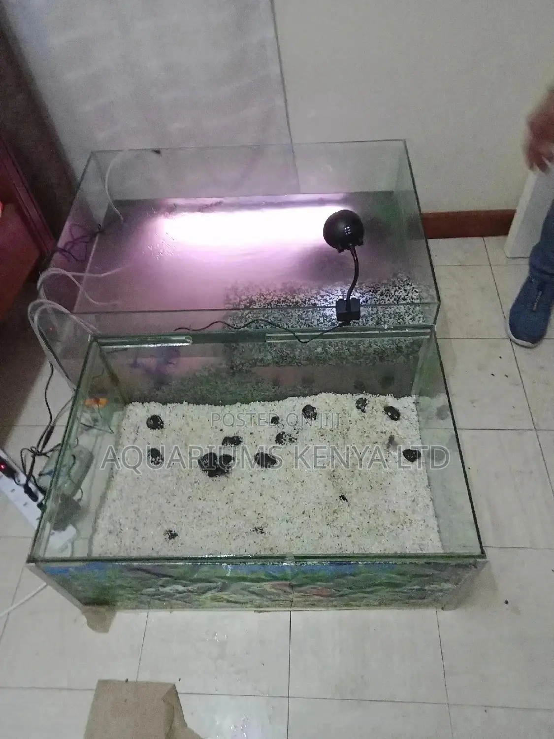 Custom Made Turtle, Terrapin Tanks