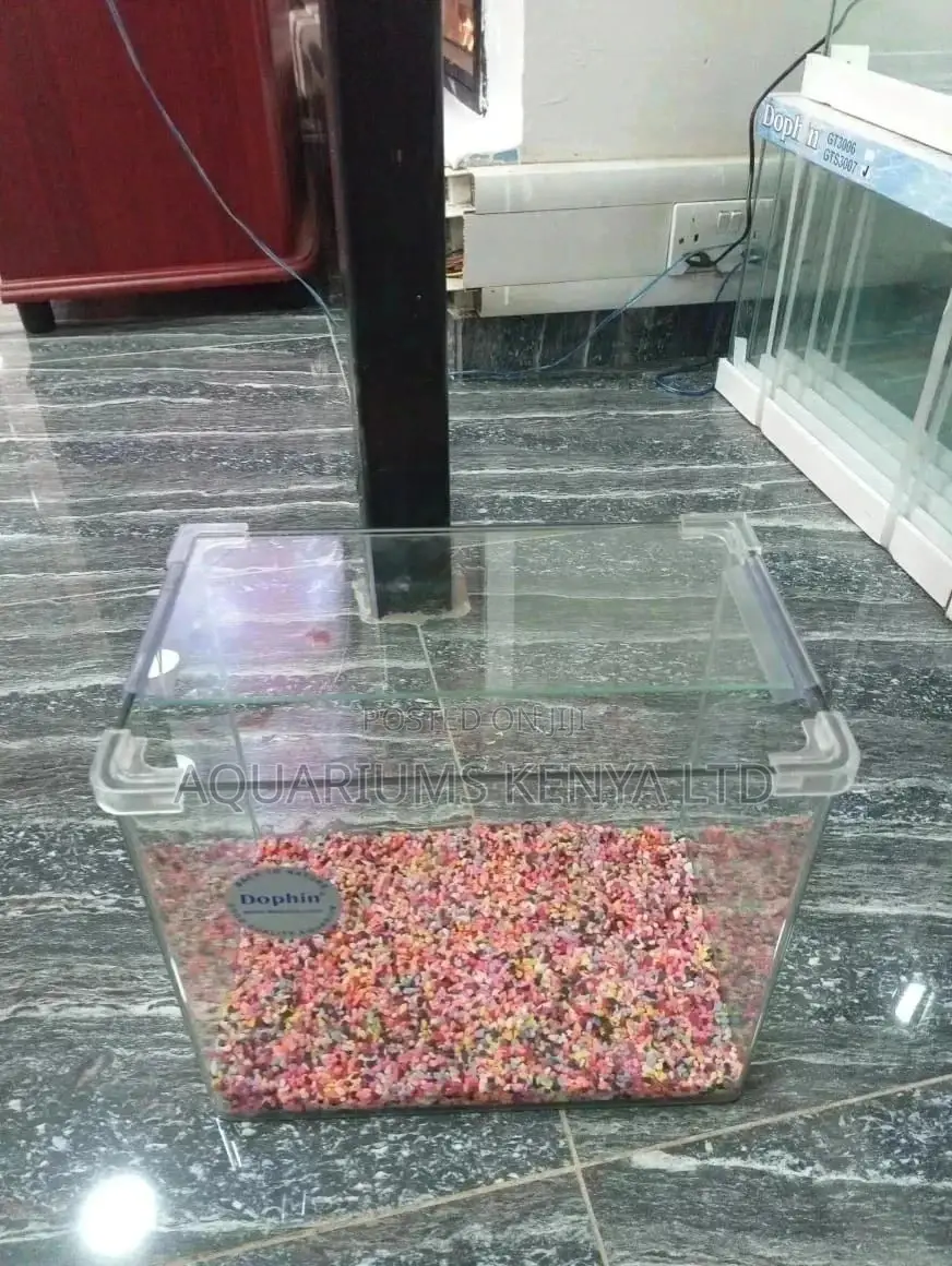 40L Imported Aquarium Without Stand , Aquarium