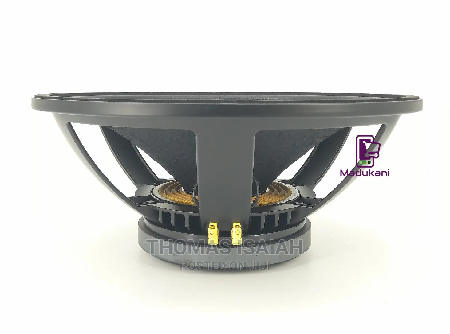 New Retone BM 18 Inch Naked Bass Speaker