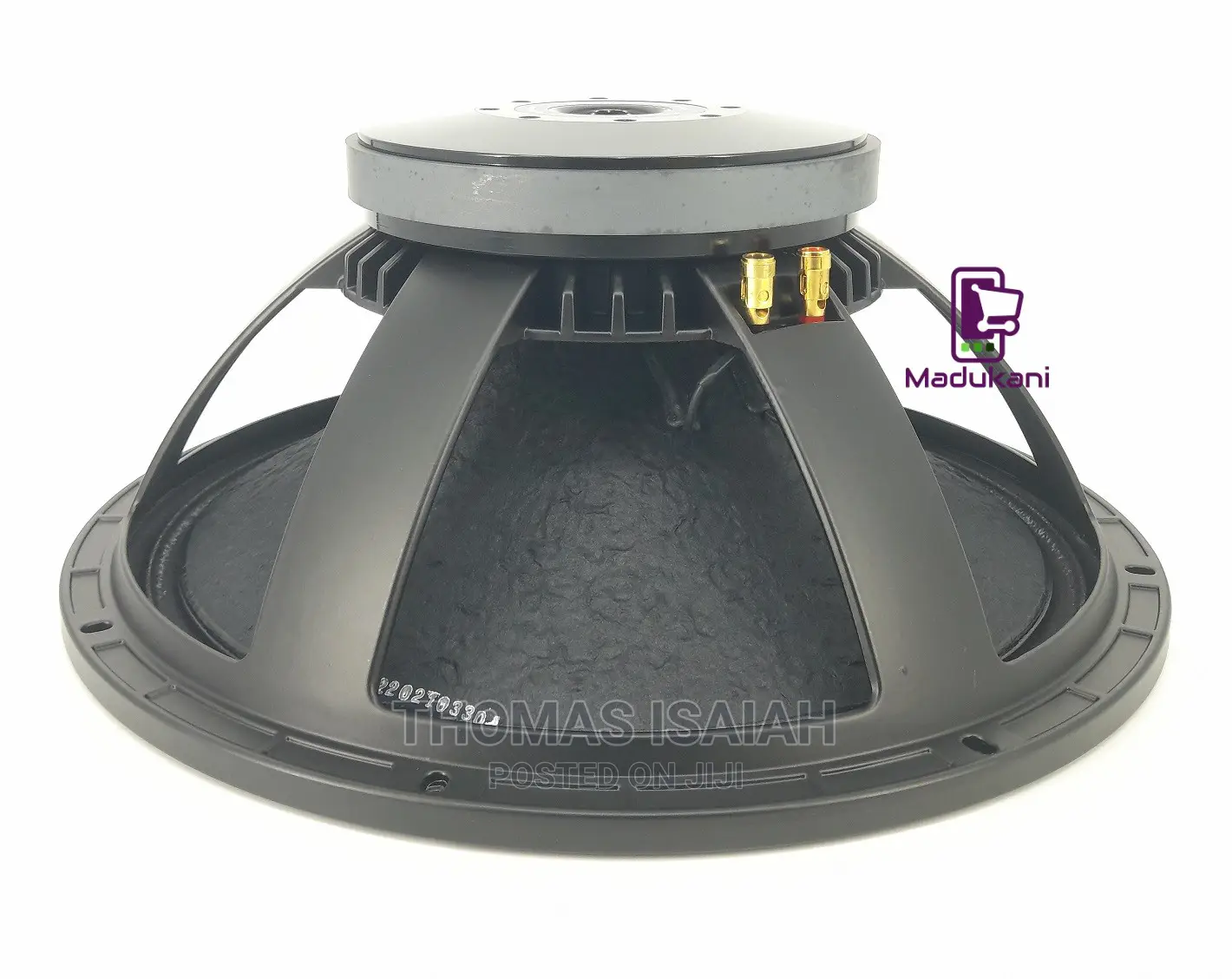 New Retone BM 18 Inch Naked Bass Speaker