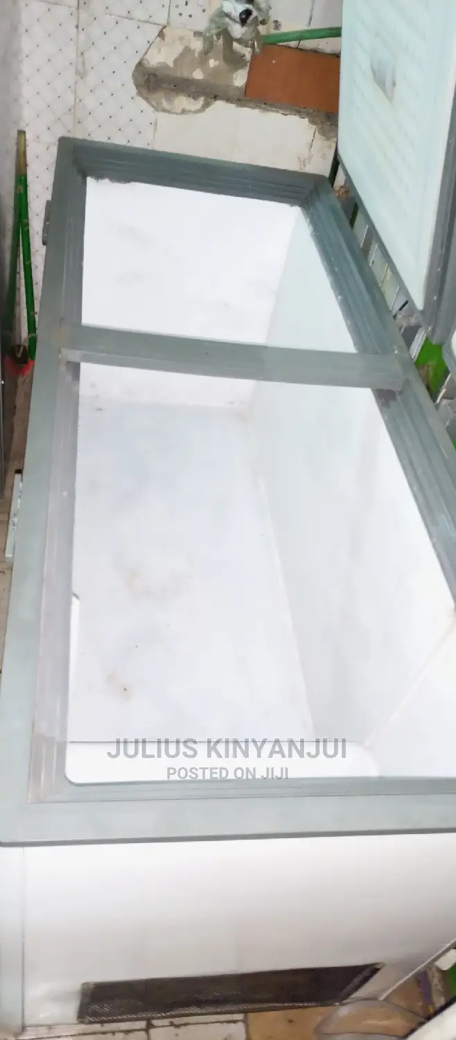 Double Door Freezer