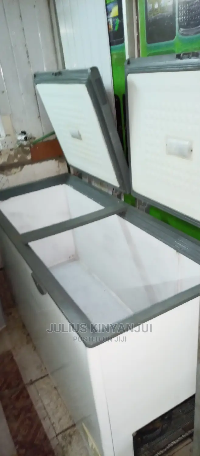Double Door Freezer