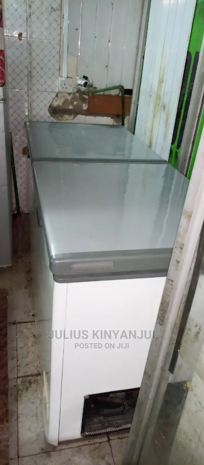 Double Door Freezer