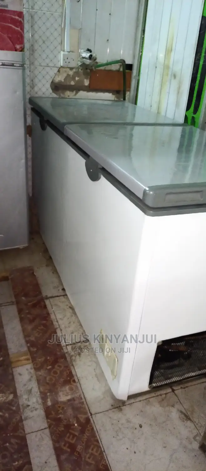 Double Door Freezer