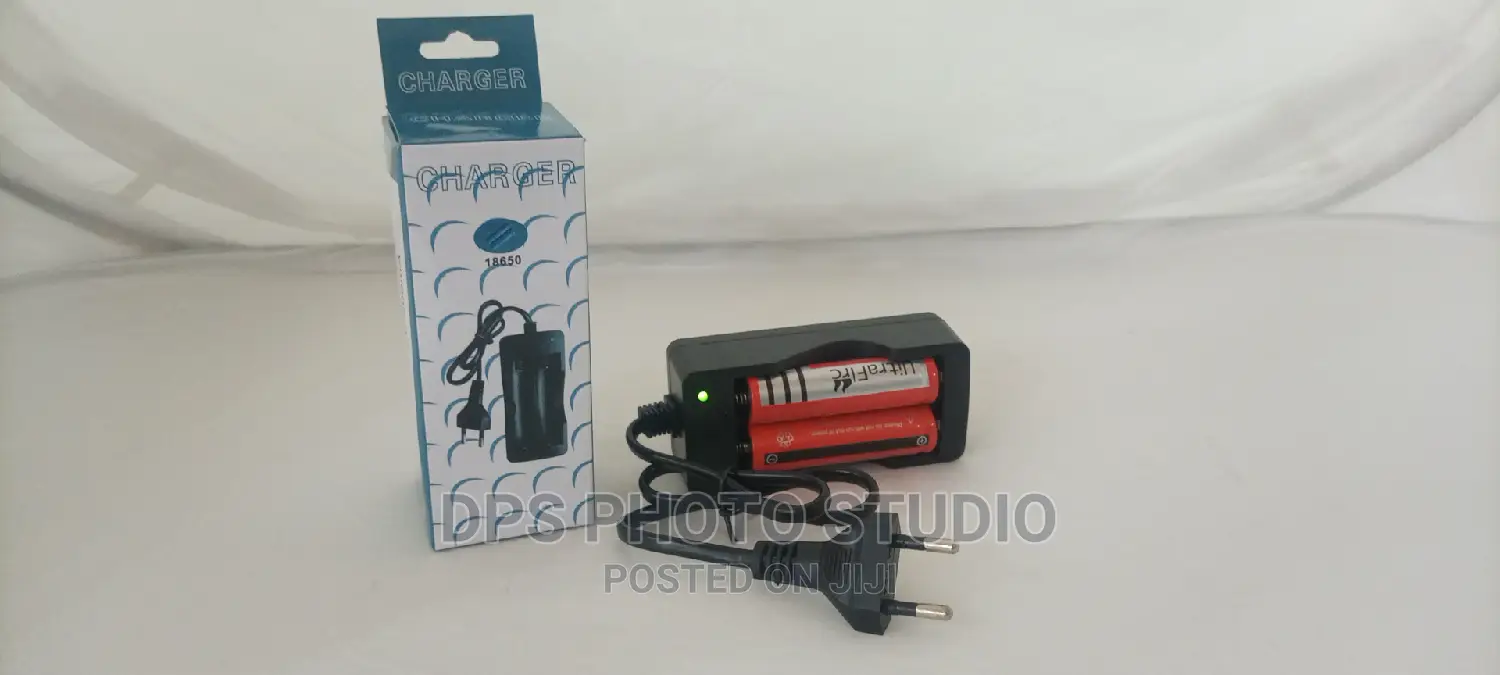 18650 Battery Charger 202a
