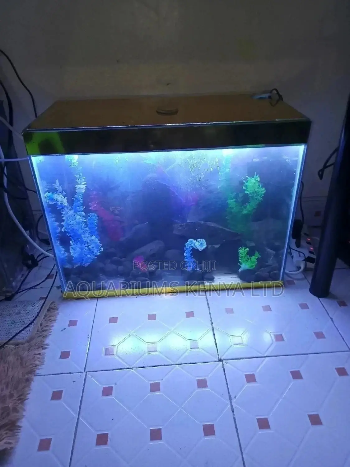 Aquarium,Fish Aquarium, House Aquarium