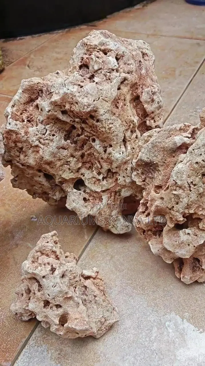 Coral Stones for Marine Aquariums,Salty Water Aquariums