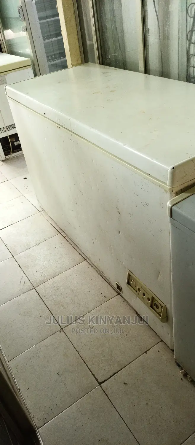 Deep Freezer 500L
