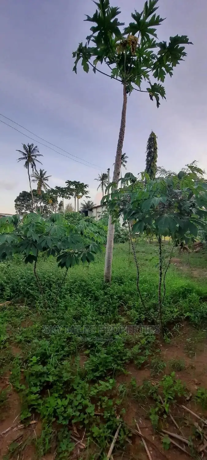 3bdrm Bungalow in Jumba Ruins Way, Mtwapa for sale