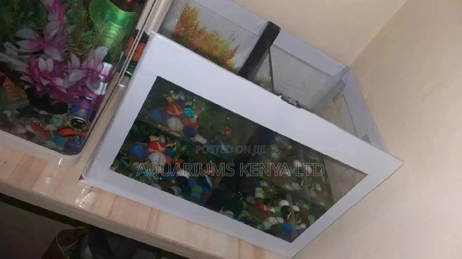 Betta Fish Breeding Aquariums
