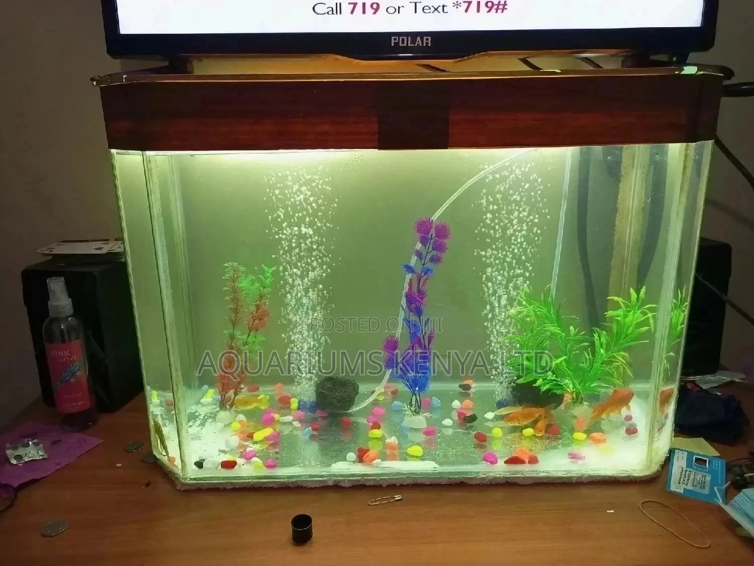 Custom Aquarium, Aquarium,Aquarium, Aquarium