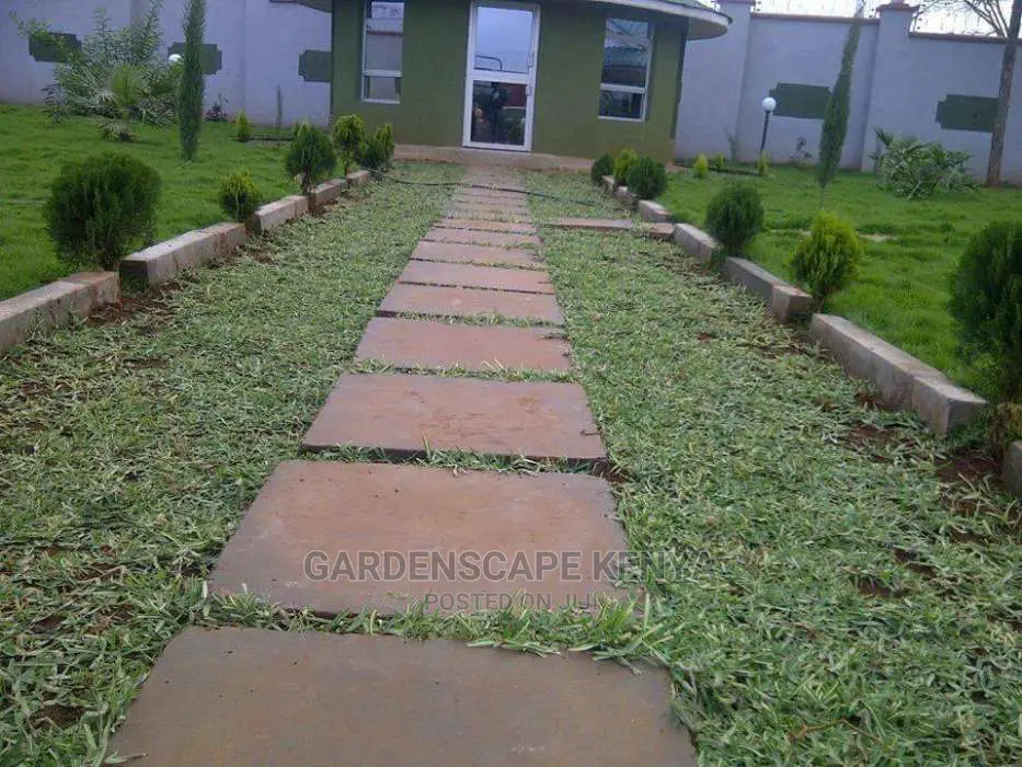 Pemba Grass/St. Augustin Grass/Buffalo Grass