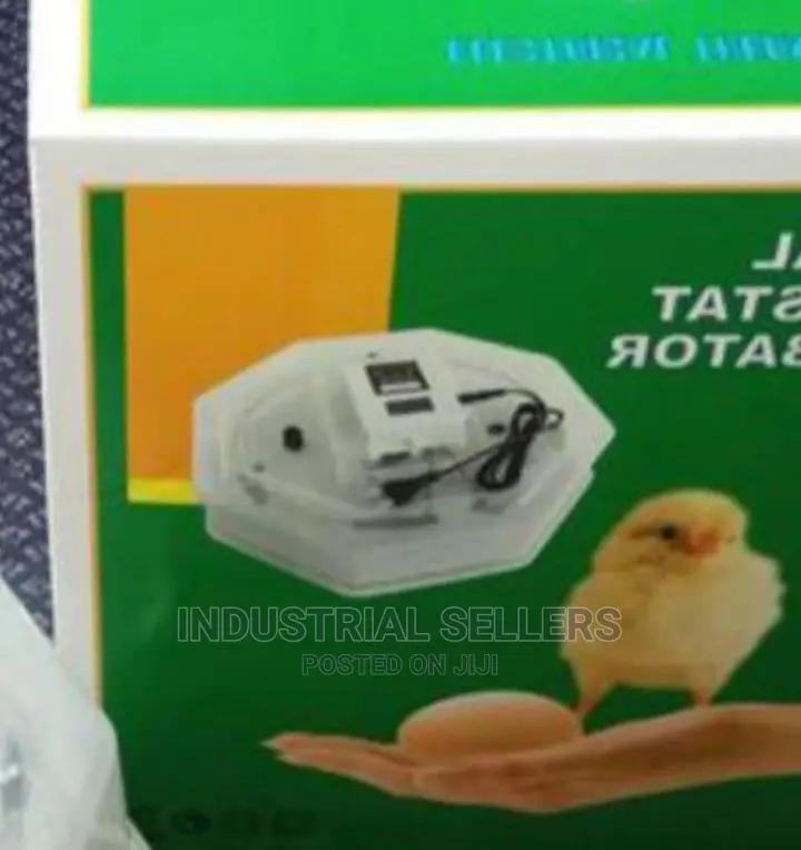 Best Price 60 Eggs Incubator Machine