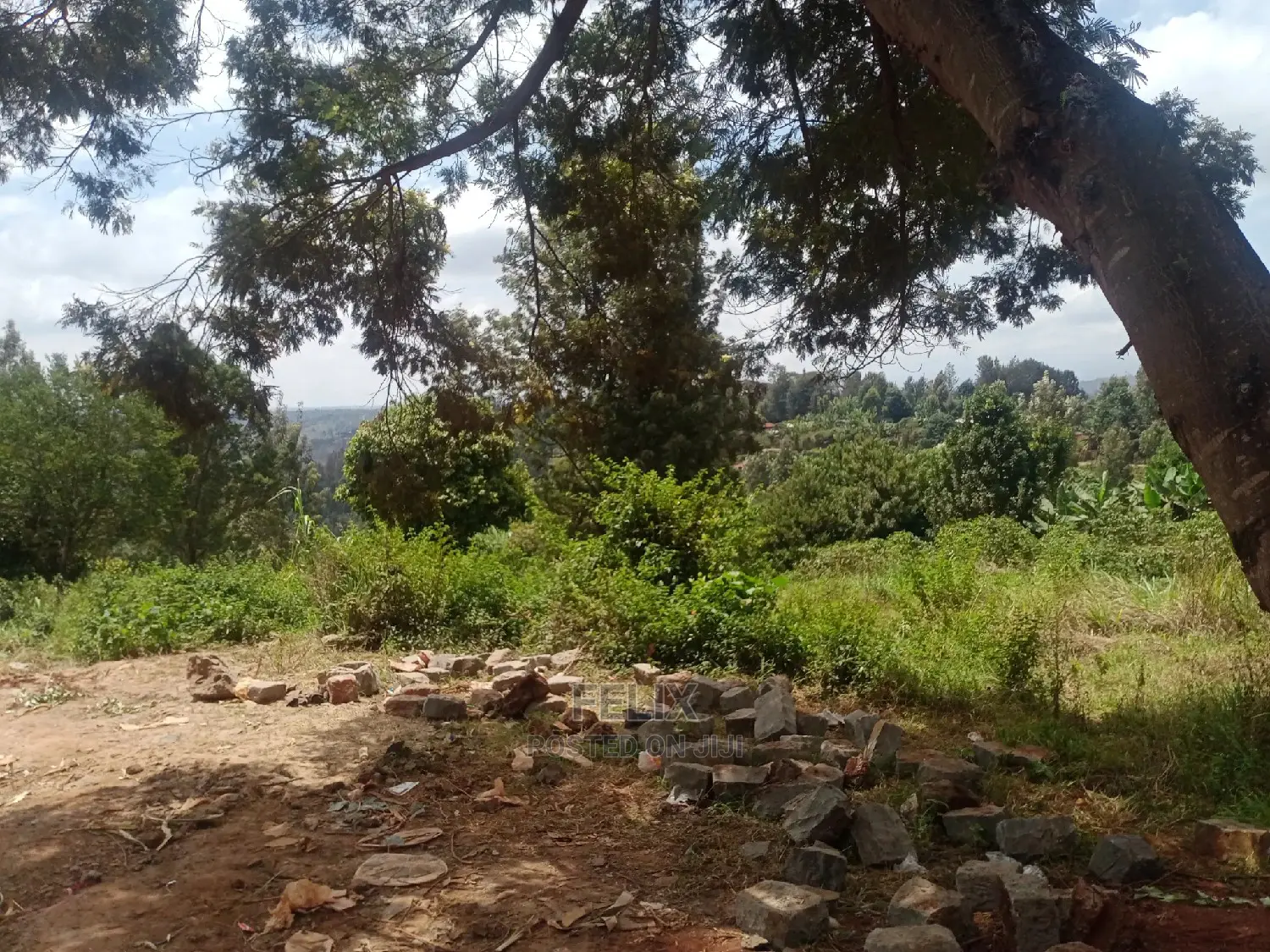 Nyeri/Gatitu Prime Plots