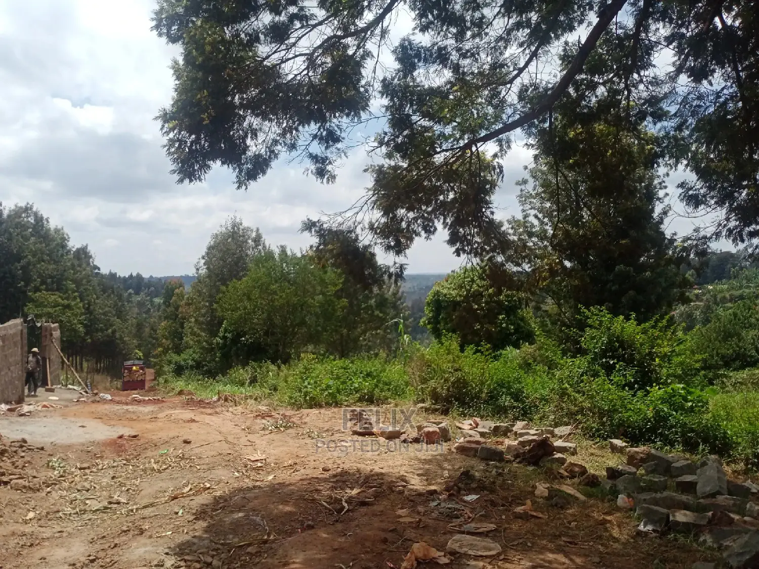 Nyeri/Gatitu Prime Plots