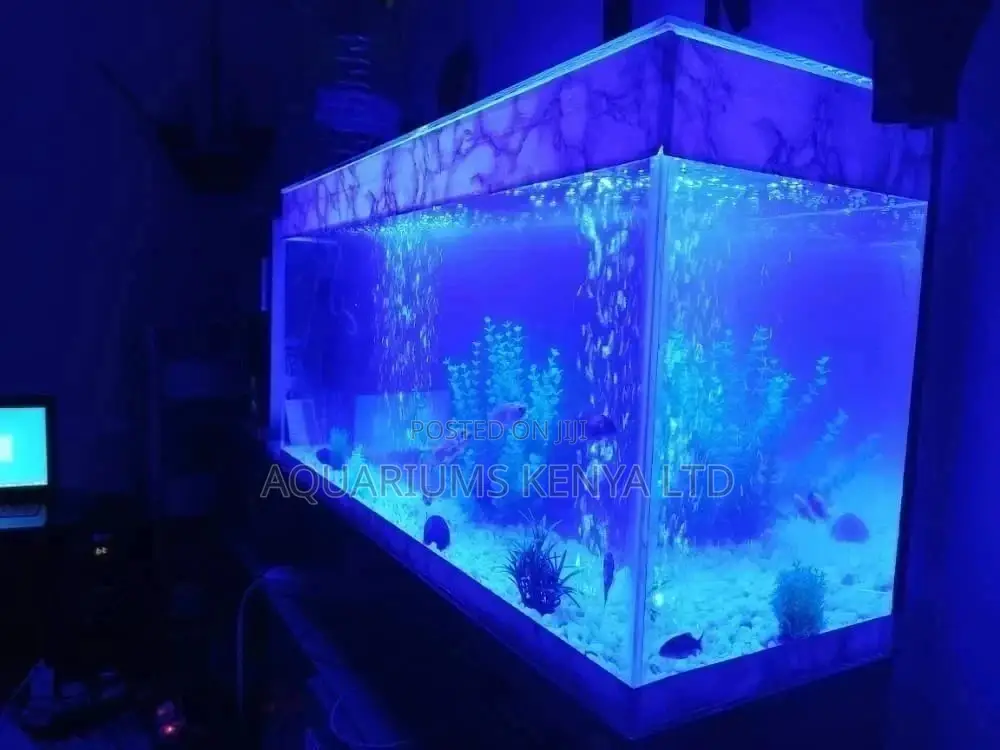 Vastu Shastra Fish Aquarium Compliant