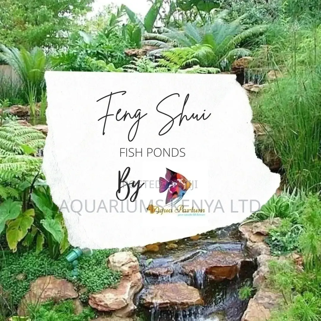 Ornamental Fish Ponds Construction