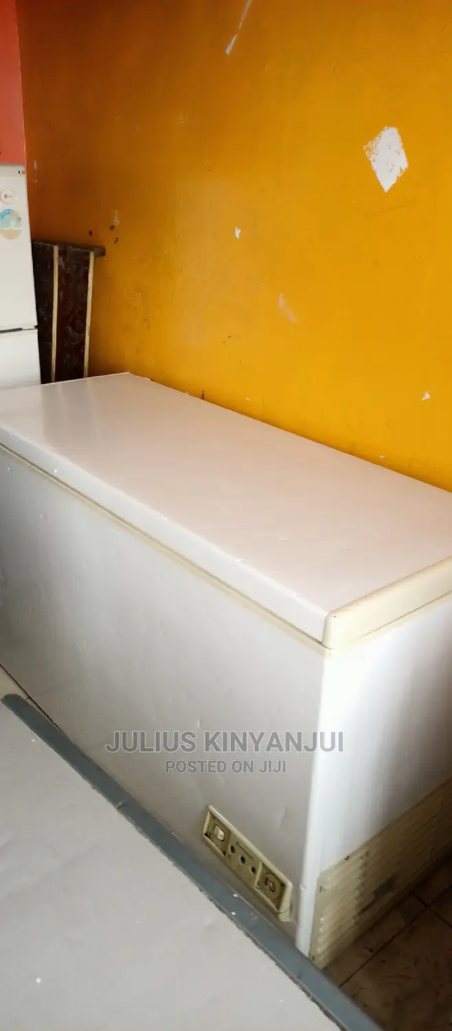 Ariston 550L Freezer