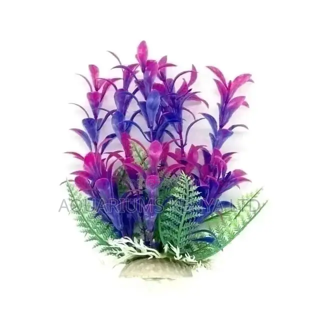 Bulky Aquarium Plants , Aquarium Accessories