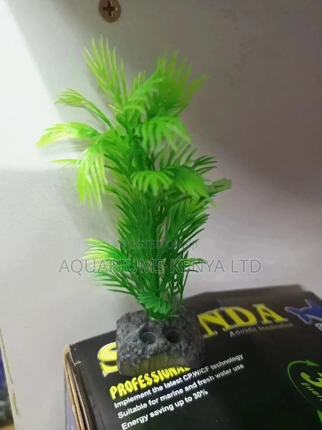 Small Aquarium Plants, Aquarium Accessories