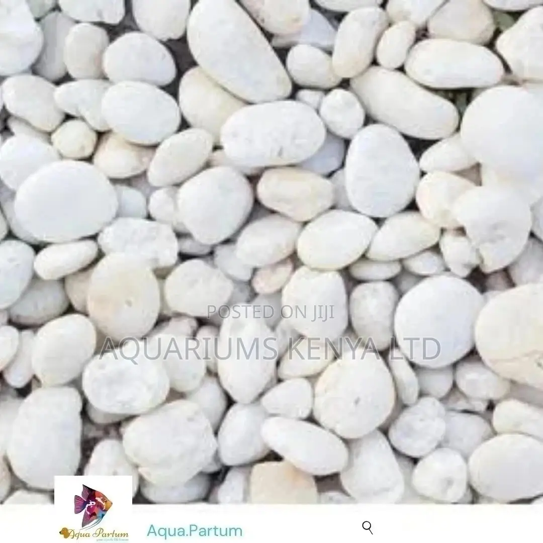 White Pebbles, Aquarium Accessories