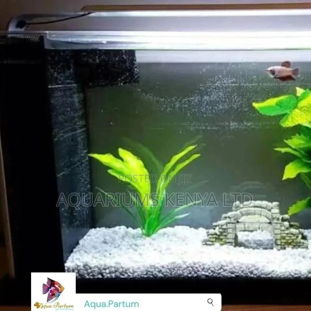 Aquarium, Custom Aquarium,Simple Aquarium ~25L