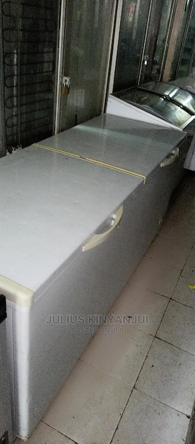 Double Door Freezer