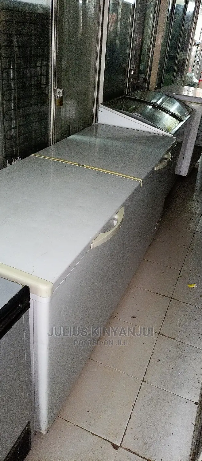 Double Door Freezer
