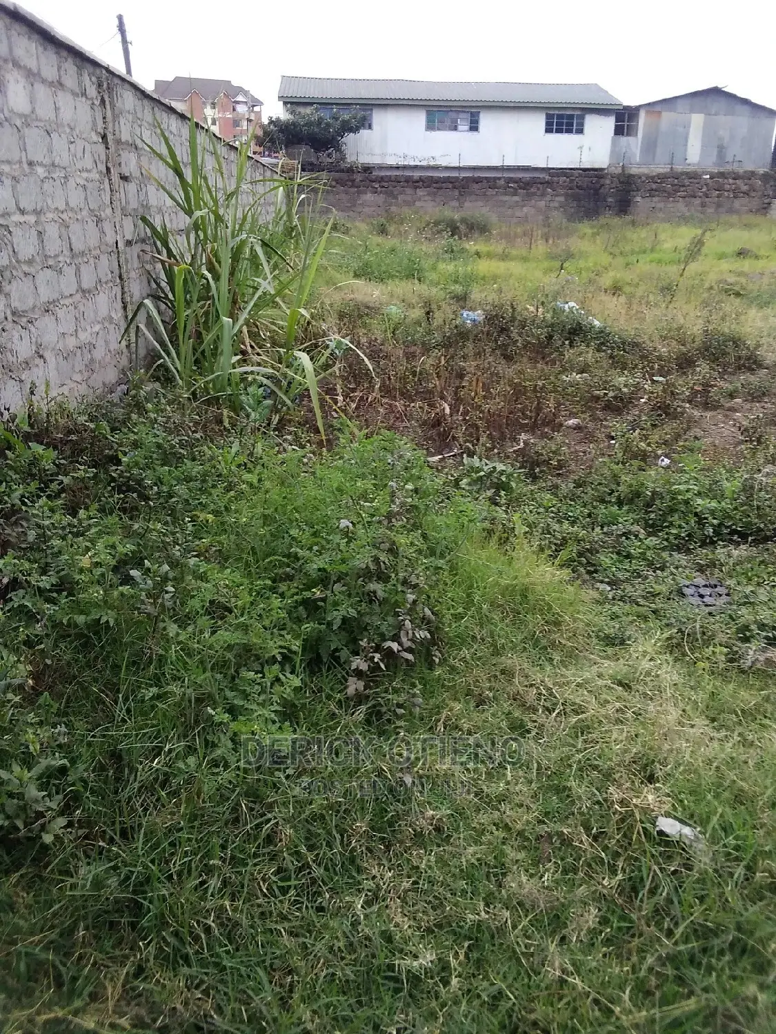 Plot Fof Sale in Wanye Road