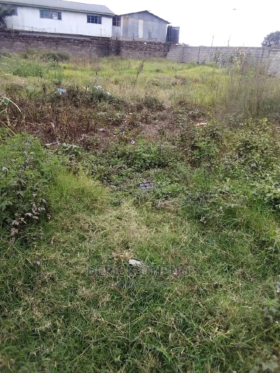 Plot Fof Sale in Wanye Road