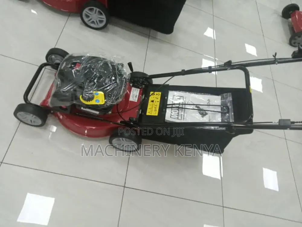 Brigga And Stratton New Lawn Mower Machine