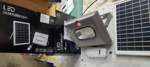 Electric Flood Light 20w