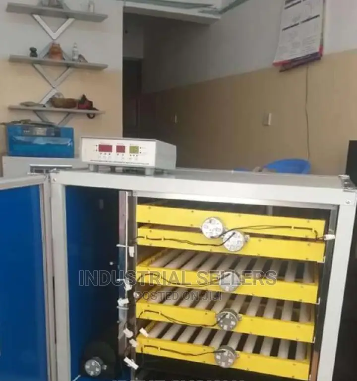 Automated 300 Eggs Incubator
